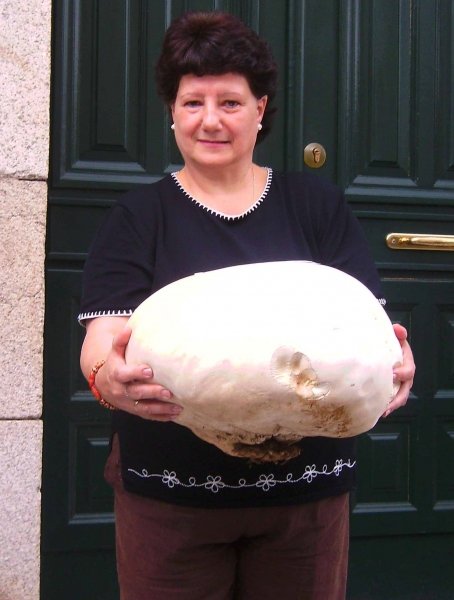 Manola Pérez muestra el hongo gigante. (Foto: L.F.)