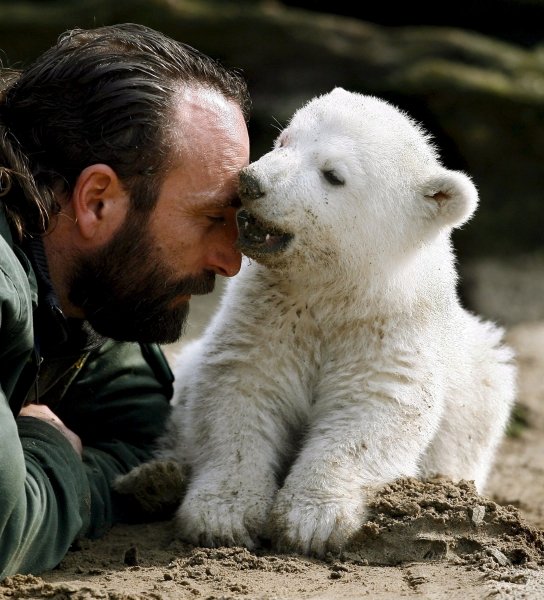 Thomas Doerflein con el oso Knut, en una imagen de marzo del 2007.