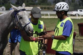 Mohammed Khalifa y un ayudante, con su caballo Mediatik Larzac. (Foto: XESÚS FARIÑAS)