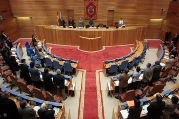 Los miembros de la Cámara gallega, de pie, durante una sesión plenaria. (Foto: ARCHIVO)
