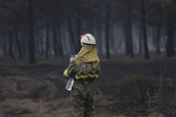 En la imagen, un agente forestal en un incendio declarado en Vilar de Barrio en el año 2010. (Foto: MIGUEL ÁNGEL)