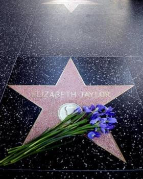 Un ramo de flores descansa sobre la estrella de la actriz Elizabeth Taylor situada en el paseo de la fama de Hollywood. Foto: EFE