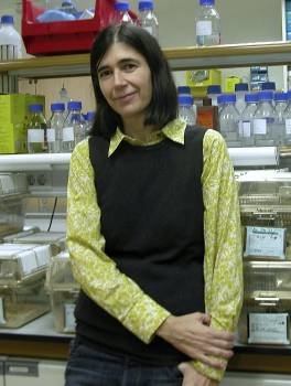 La investigadora alicantina María Blasco.