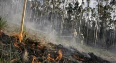 En la imagen un incendio forestal del pasado 5 de junio en la parroquia de Biduido (Ames). , (Foto: Archivo EFE)