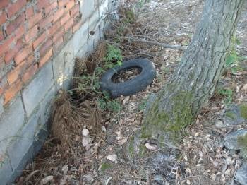Un neumático abandonado en el recinto del parque arqueológico 'Finca da Cruz'. (Foto: J.C.)