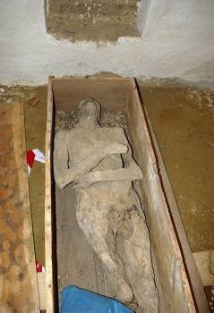 La momia hallada hace dos años emparedada detrás del altar mayor del santuario mudéjar de la Peregrina de Sahagún (León) podrá ser contemplada los fines de semana en la cripta del templo, donde se cree que pudo haber estado enterrada originalmente. 