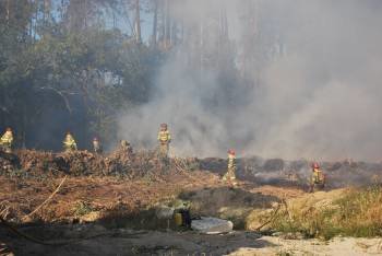 Una brigada forestal, trabajando en la extinción de un incendio en el municipio coruñés de Ames. (Foto: ARCHIVO)