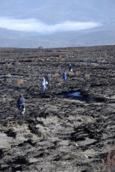Miembros de Asaja reparten las semillas en la tierra quemada. (Foto: LUIS BLANCO)