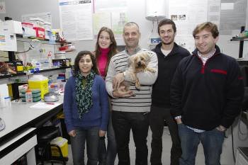 Daniela Ribeiro, Ana Margarida Sousa, José Luis Capelo, Julio DInis y Nuno Malavado, en el laboratorio. (Foto: Miguel Ángel)