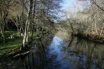 El río Arnoia, a su paso por el ayuntamiento de Celanova. (Foto: MARCOS ATRIO)