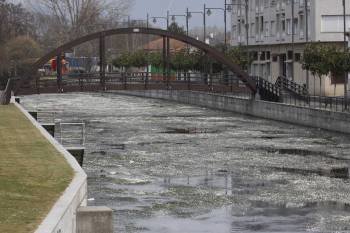 El río Támega cubierto de algas, a la altura de la pasarela, cerca de la plaza de la Alameda. (Foto: XESÚS FARIÑAS)