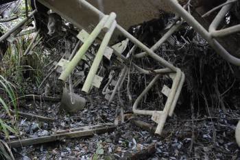 Los restos del autobús llevan 35 años abandonados en la orilla derecha del río Sil. (Foto: LUIS BLANCO)