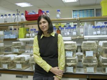 María Blasco, que lideró el equipo de investigadores que desarrolló el proyecto antienvejecimiento. 
