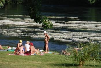 Un grupo de personas toma el sol a orillas del río Sil, con las algas al fondo. (Foto: LUIS BLANCO)