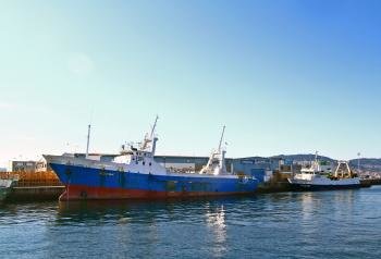 La reforma pesquera aplazó el fin de los descartes hasta 2018 ó 2019. 