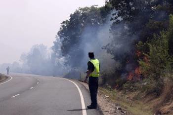 Un agente contempla las llamas que alcanza la carretera en Ávila. (Foto: SANCHIDRIÁN)