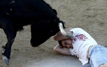 Un corredor es empitonado por una vaquilla, sin consecuencias