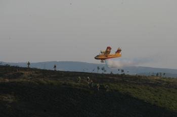 Incendio forestal en Erosa (Foto: Xesús Fariñas)