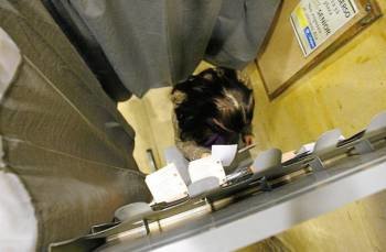 Una mujer elige su papeleta en una cabina de votación. (Foto: ARCHIVO)