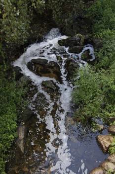 La espuma que presentan las aguas del río Barbaña. (Foto: XESÚS FARIÑAS)