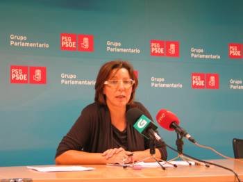 La diputada del grupo socialista en el Parlamento gallego Carmen Gallego.