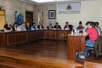 Sesión plenaria del Concello de Carballiño desarrollada ayer. (Foto: EDU BANGA)