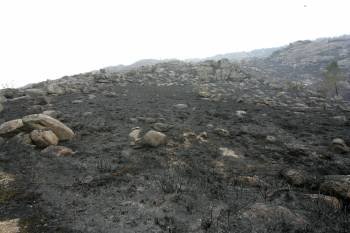 Aspecto de los montes de Muíños, dentro del Xurés, tras ser devorados por las llamas. (Foto: MARCOS ATRIO)