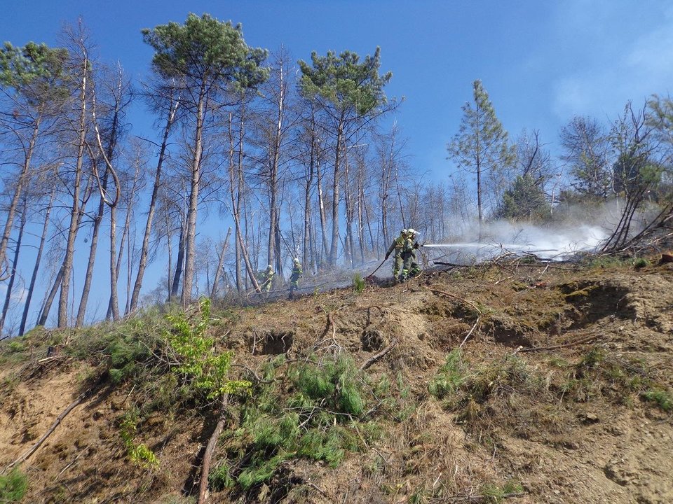 Trabajadores de una brigada forestal, en el incendio de Viloira.