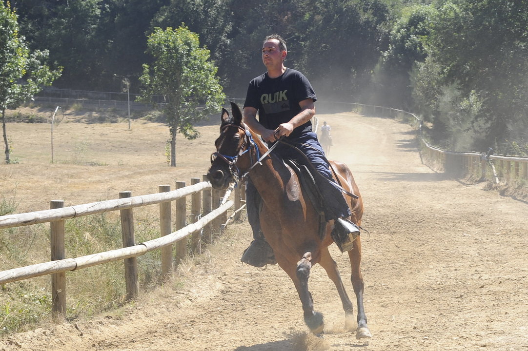 Un jinete con su caballo en plena competición (MARTIÑO PINAL)