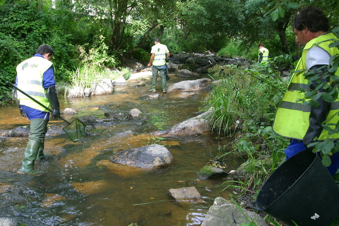 Personal de Tragsa recoge los peces muertos aparecidos el 24 de junio de 2009. El vertido provocó una masacre en la fauna píscícola (JOSÉ PAZ)