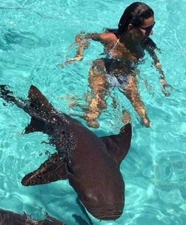 Ana Boyer, toda una chica valiente nadando entre tiburones
