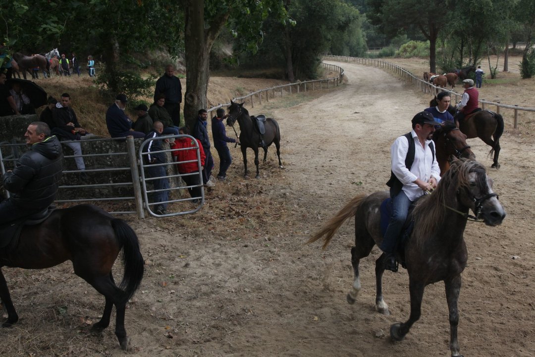 Puzo do Lago, Maside 23-08-2015. Festa do Cabalo en Puzo do Lago. Paz