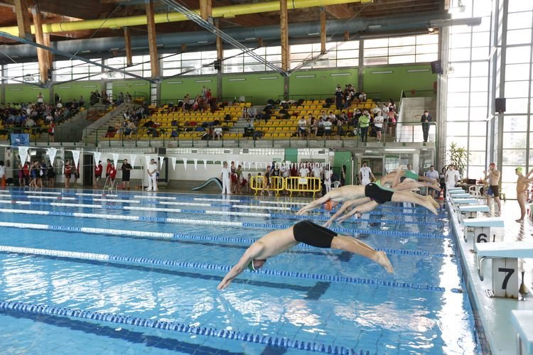 Ourense. 05-03-16. Deportes. Liga galega de natación nos Remedios.
Foto: Xesús Fariñas
