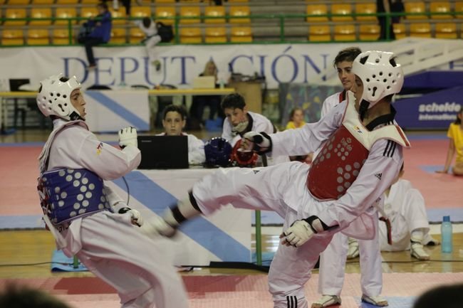 Ourense. 25-06-2016. Paco Paz, torneo de Taekwondo. Paz