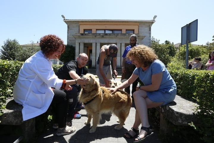 Ourense. 12-06-17. local. Terapia con cans para pacientes con patoloxías psiquiátricas no hospital de Piñor.
Foto: Xesús Fariñas