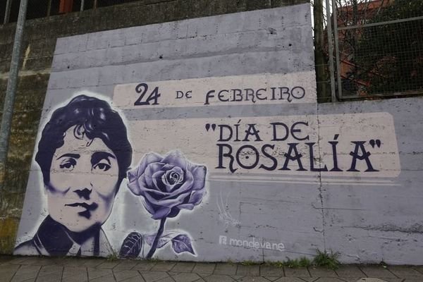 Ourense. 24-02-15. Local. Mural de Rosalía de Castro no Ceip A Ponte.
Foto. Xesús Fariñas