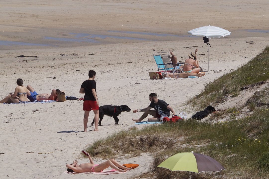 Las playas de Foz y A Calzoa, en Vigo, permiten  la entrada de perros