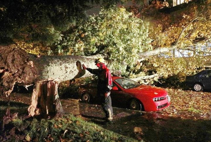 Los bomberos de Santiago de Compostela retiran un árbol caído sobre un coche.