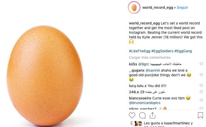 La imagen del huevo que se ha viralizado.