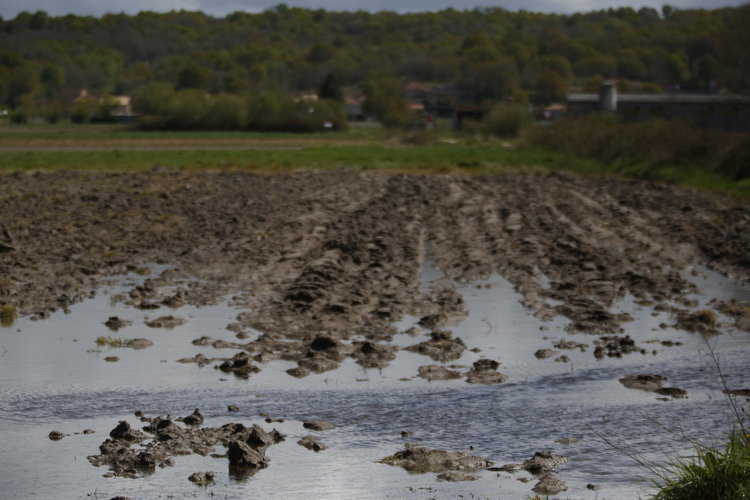 Las lluvias inundaron numerosos terrenos de cultivo de patata el pasado mes de abril en Xinzo (XESÑÚS FARIÑAS).