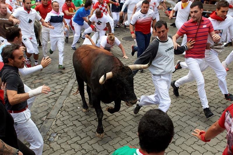 Uno de los toros de esta segunda jornada de San Fermín.