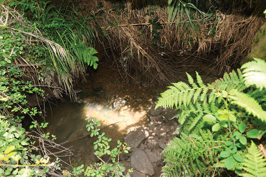 El regato contaminado en la ruta de senderismo.