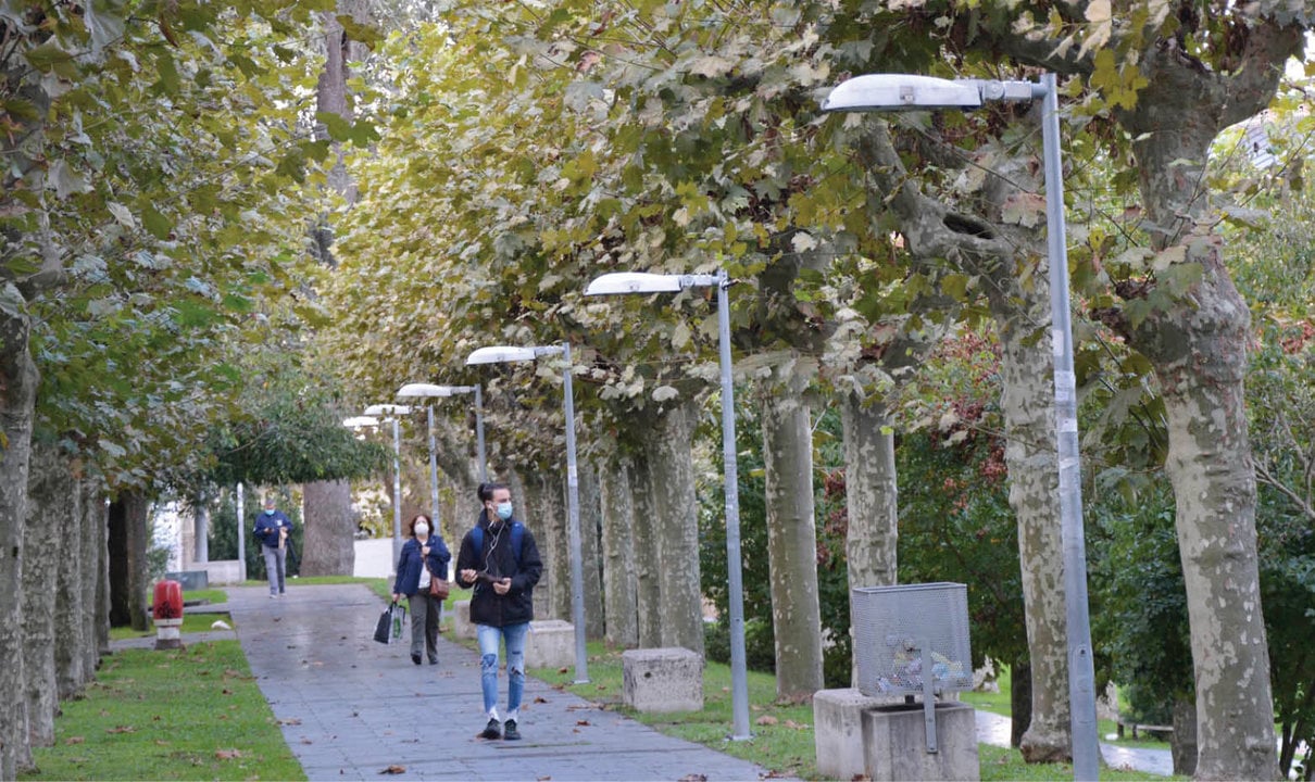 Paseo da Igualdade, en el Campus de Ourense, donde ya lucen las nuevas lámparas led.