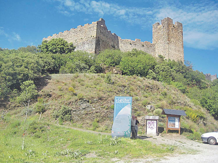 Situado en un promontorio rocoso en su cara norte muy pronunciado, este castillo vigilaba la entrada en el Bierzo desde Galicia, y aun toda la planicie oriental a sus pies.