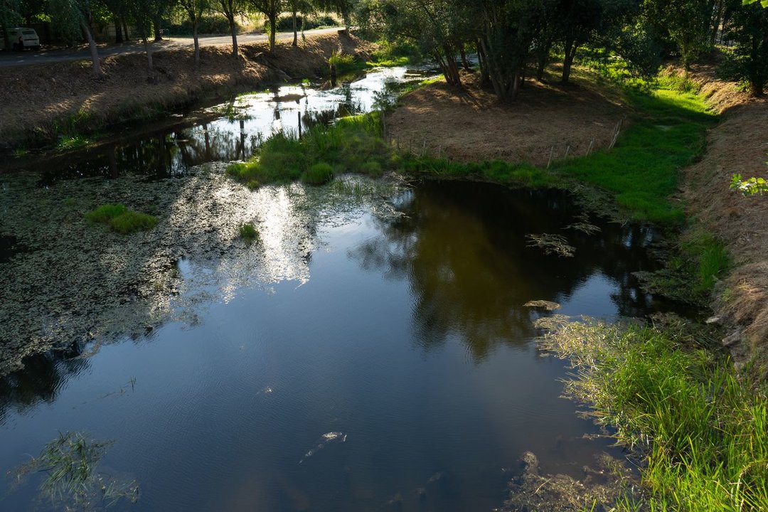 XINZO DE LIMIA 25/08/2022. El cauce del río Limia está practicamente seco a su paso por Xinzo, excepto por algunas balsas de agua estancada. Miguel Sambréijome