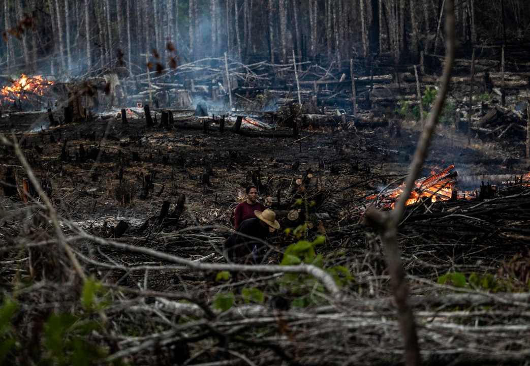 Fotografía de archivo fechada el 6 de septiembre de 2022 que muestra un bosque quemado en Careiro Castanho, Amazonas. Foto: EFE.