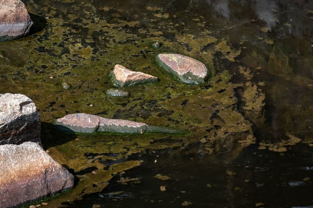 Imagen de un vertido en el río Loña, afluente del Miño.