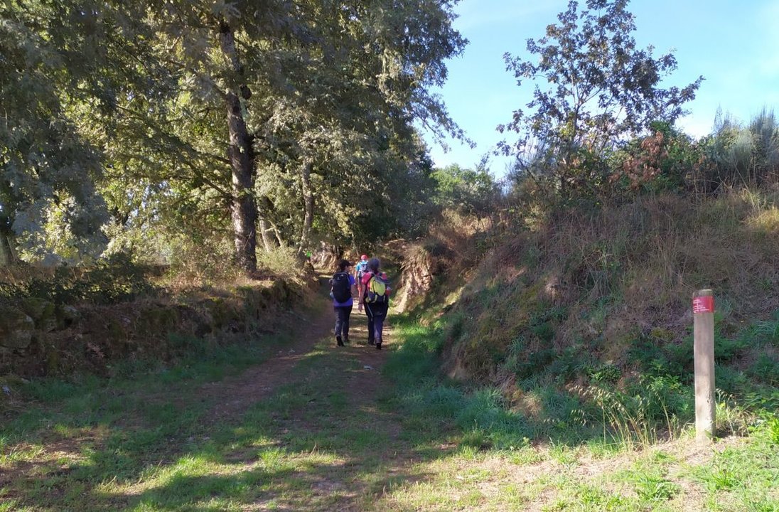 Caminantes en un tramo del Camino de San Rosendo, entre Terra de Celanova y Baixa Limia.