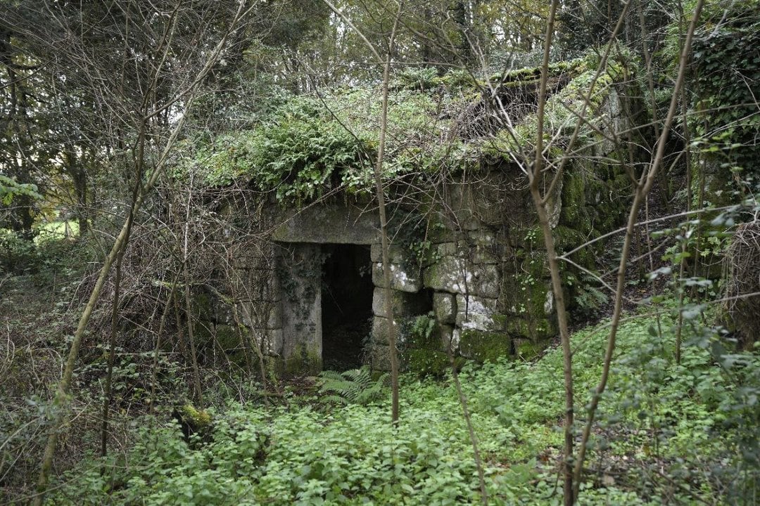 Casas abandonadas en las proximidades a donde fue hallada la mujer.