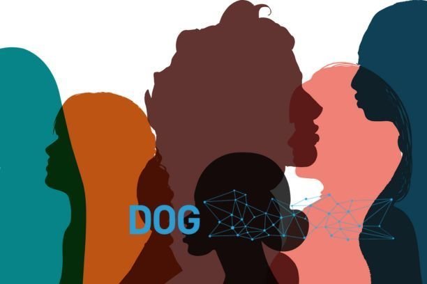 La Ley de Igualdad de Galicia se publica en el DOG